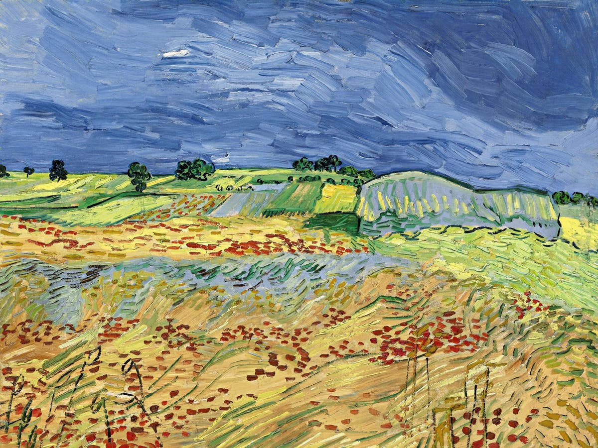 Vincent Van Gogh: una Storia Triste