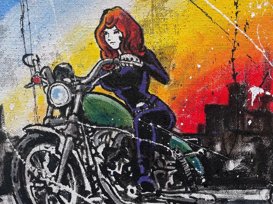 Inseguimento al Tramonto con Fujiko - immagine 3