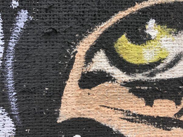 Catwoman Sguardo Seducente