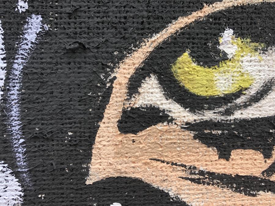 Catwoman Sguardo Seducente - immagine 4