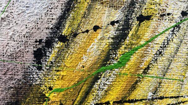 Juta Joker e Harley Amore Folle